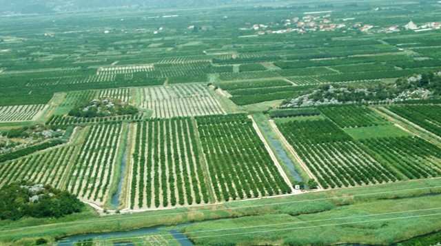 Ministria e Bujqesise, fond 3.4 milion euro per kompensimin e 4 mije fermereve deri ne Prill